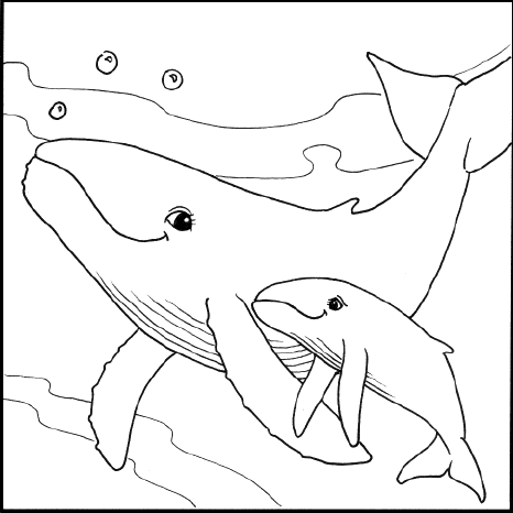Kids Online Coloring Pages on More Pages To Color Humpback Whale Origami Learn About Humpback Whales